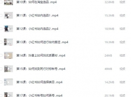 最全口碑最强价值2999元小红书电商运营课程-从入门到精髓