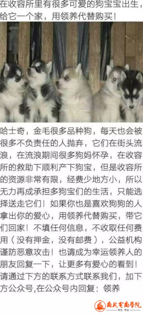 20170402_135419_000.jpeg