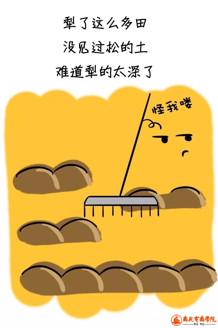 4f8e57adc824932801c354f6e7f10c79.jpg
