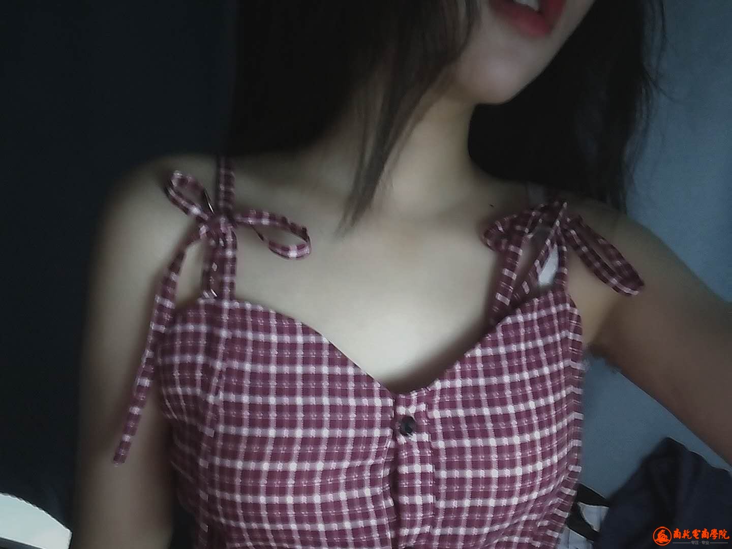 2316407.jpg