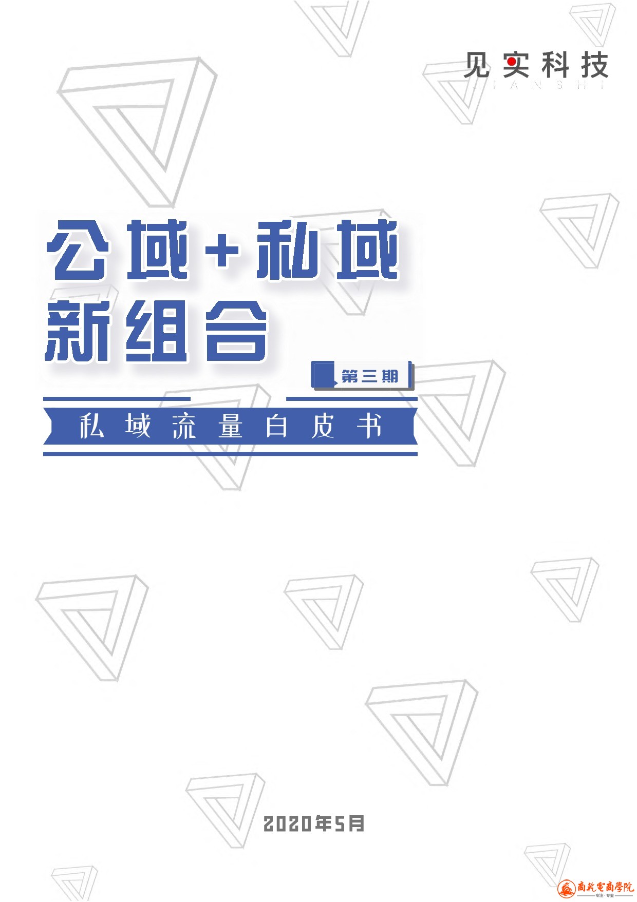 公域 私域新组合白皮书（1）_1.jpeg