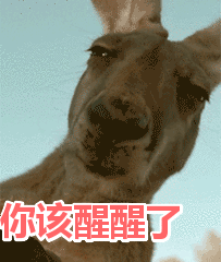 0c1b72e288eb9b48f049116bca3abc3f.gif
