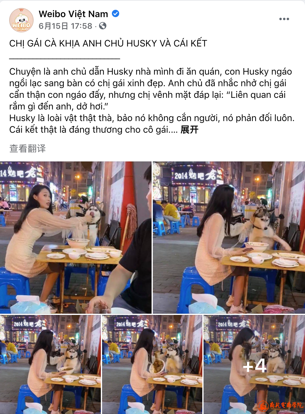 12a05a5561c8f8f48b94932c31d5d546.png
